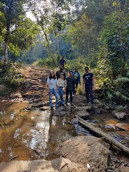 Friends exploring the forest stream