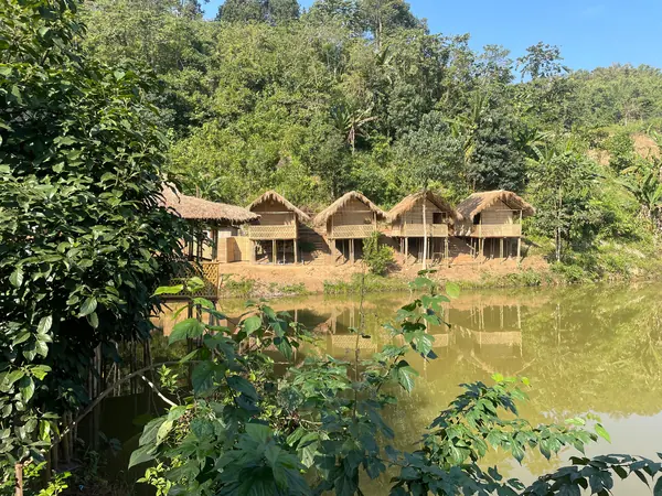 Green surroundings and cottage reflections