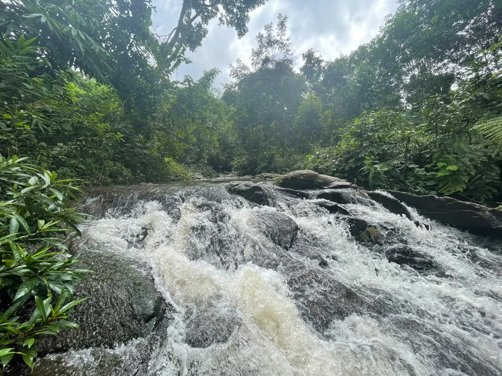 A forest stream flowing over rocks near the camp